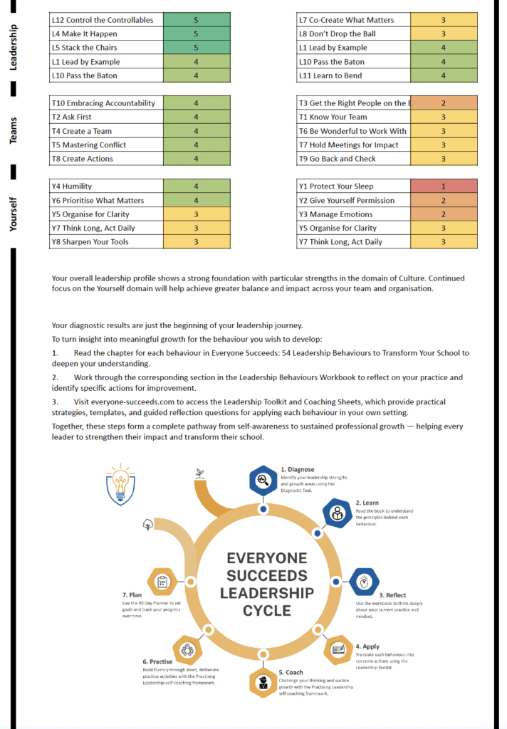 Leadership Diagnostic page 2