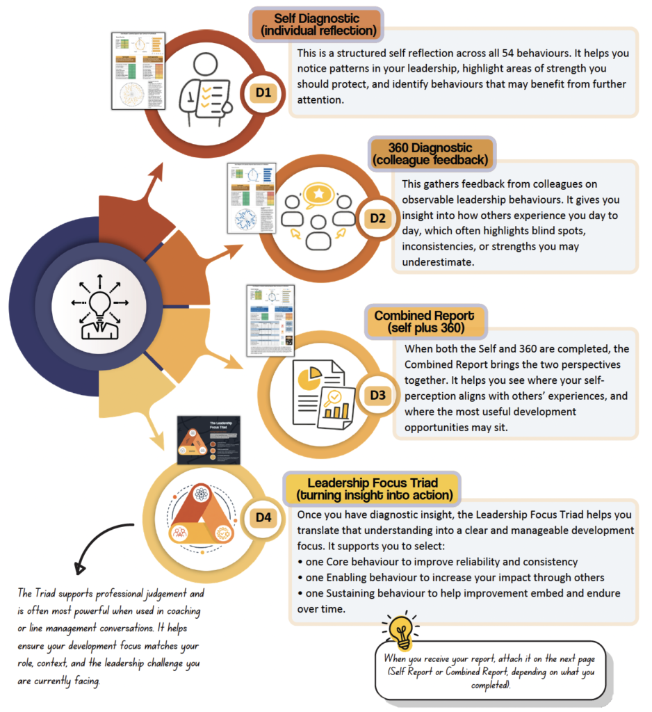 Leadership Diagnostic diagnostics